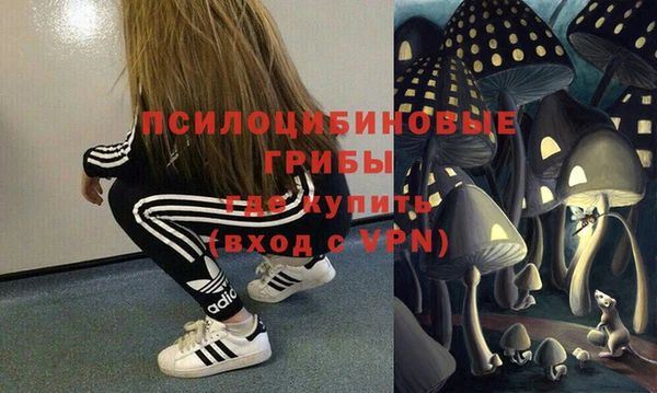 хмурый Видное