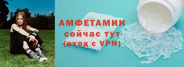 крисы Новозыбков