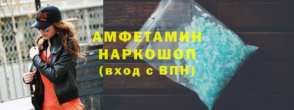 крисы Новозыбков