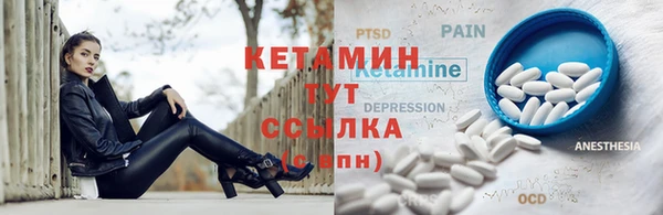 крисы Новозыбков