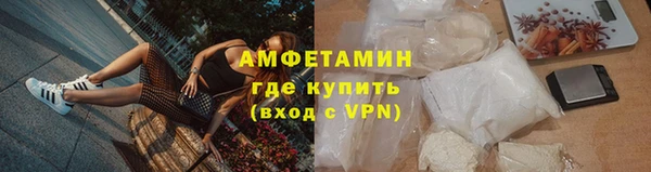 крисы Новозыбков