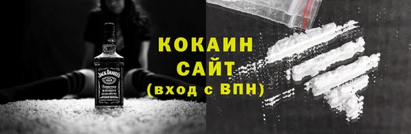 крисы Новозыбков