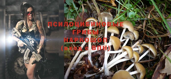 крисы Новозыбков