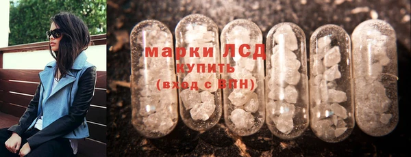крисы Новозыбков